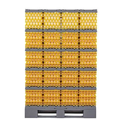 Tuxum yuk tashish tizimi