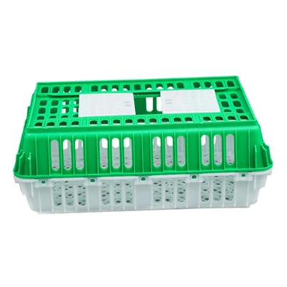 Jonli qush uchun plastik quti