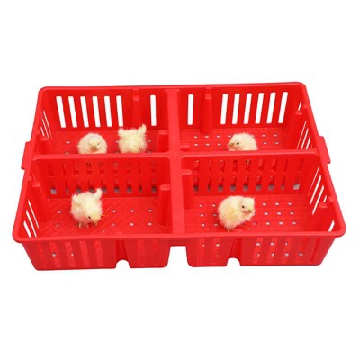 Plastik Chick Box 4 bo'linmalari