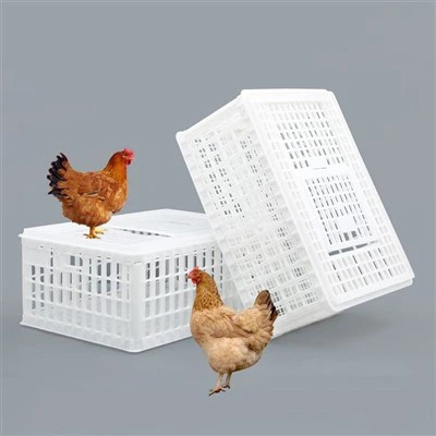 Parranda go'shti uchun plastik transport qutisi qafas